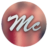 METALIZADOS DE CENTRO AMÉRICA